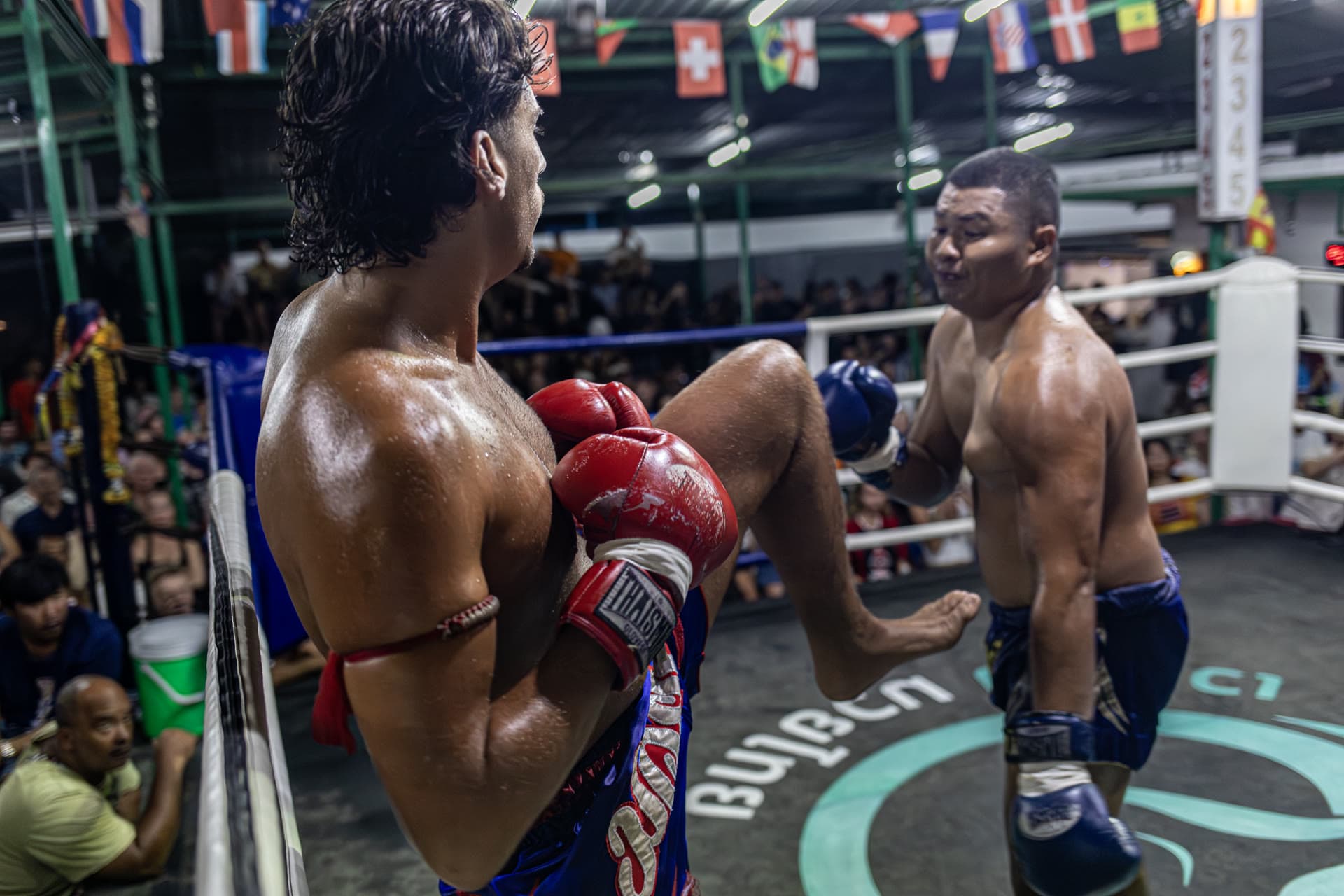 Fight Night highlight 3