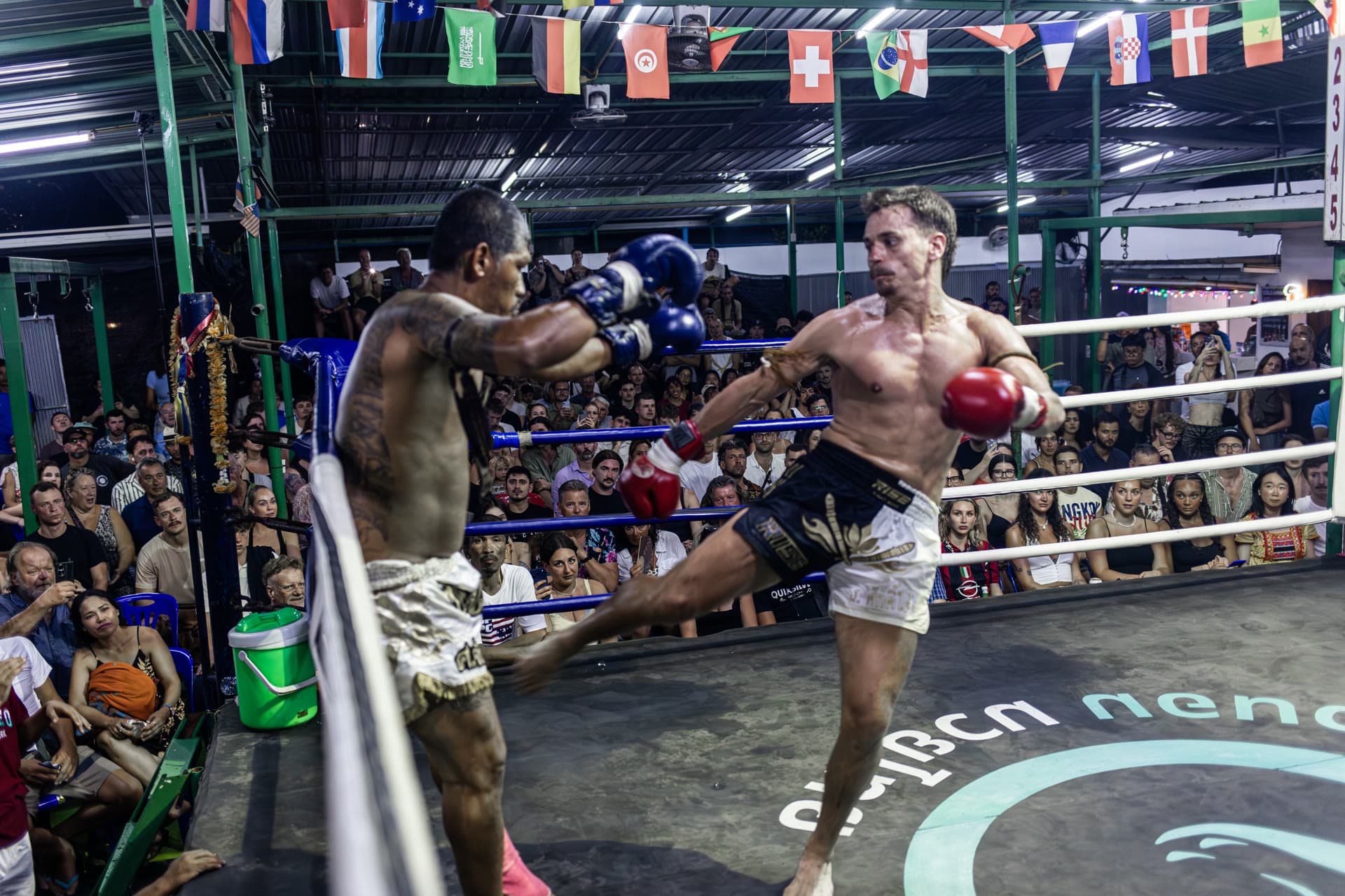 Venom Muay Thai Fight Night