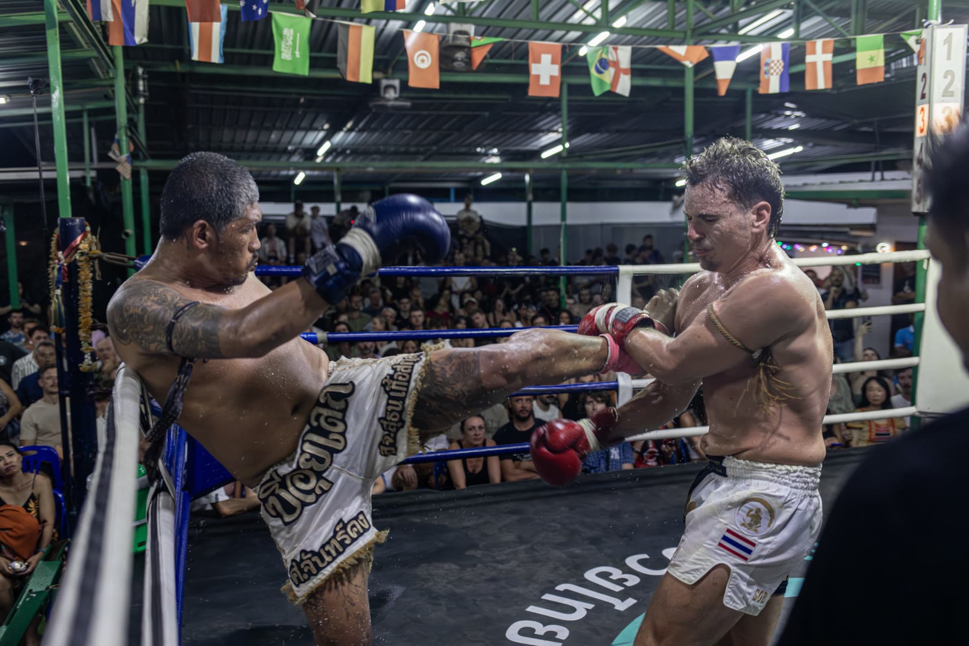 Fight Night highlight 6