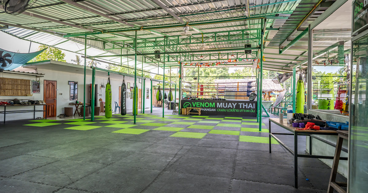 Venom Muay Thai photo (Gym's own website (og:image))